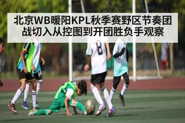 北京WB暖阳KPL秋季赛野区节奏团战切入从控图到开团胜负手观察 | kaiyu.com
