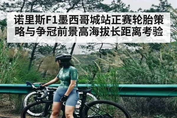 诺里斯F1墨西哥城站正赛轮胎策略与争冠前景高海拔长距离考验
